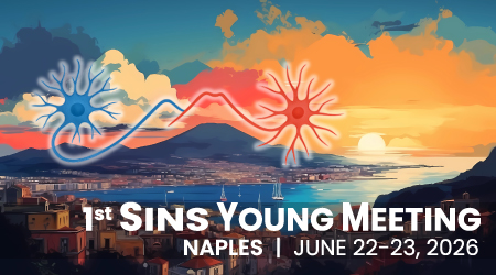 SINS Young Meeting